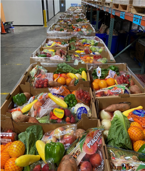 Boxes of fresh produce lined up in the warehouse