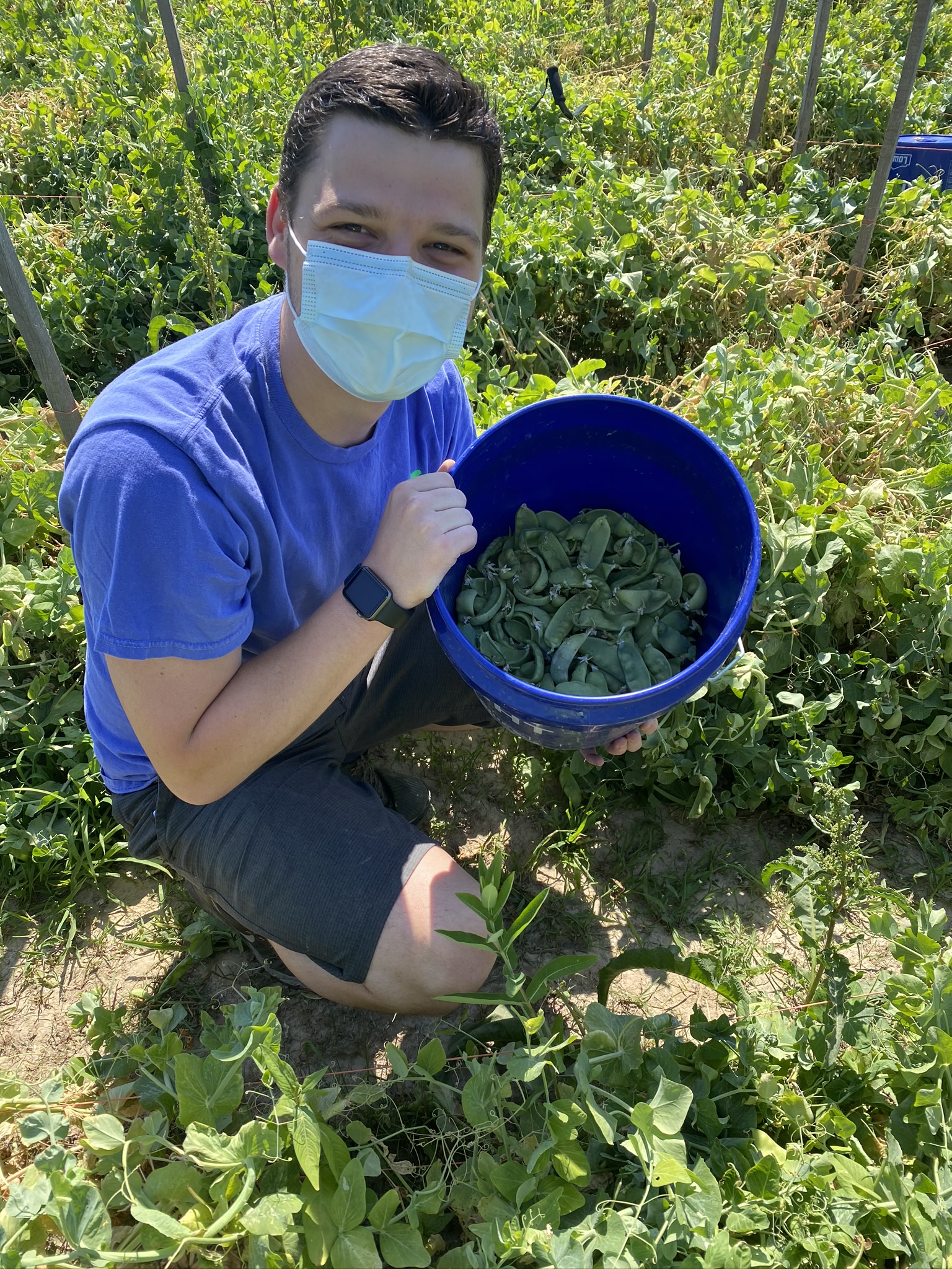 Volunteer displays a bucket of vegetables harvested from the farm field around him.