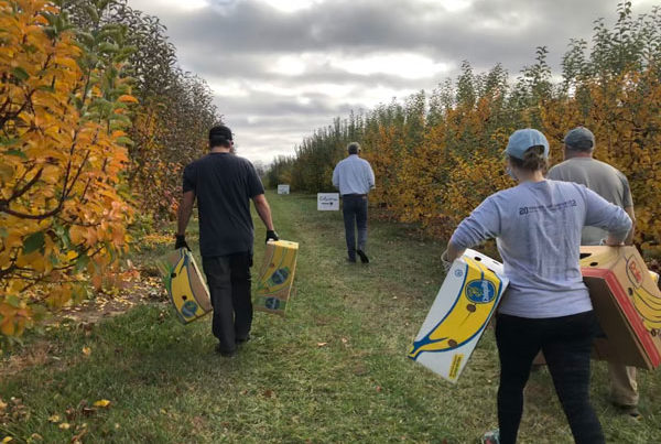 Group of volunteers at a local farm