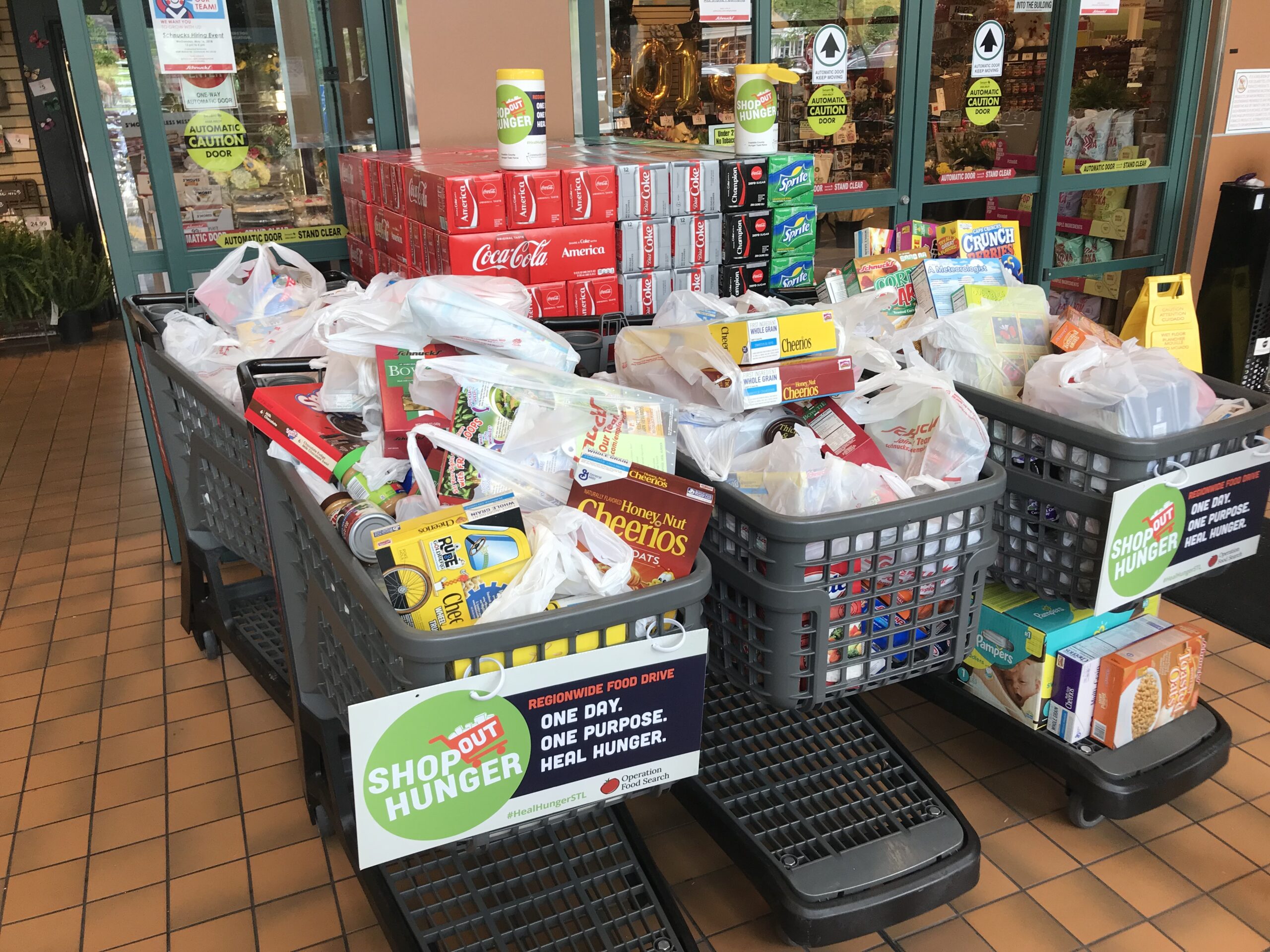 shopping carts full of food donations