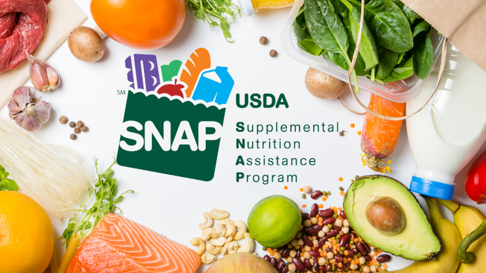 supplemental nutrition assistance program logo