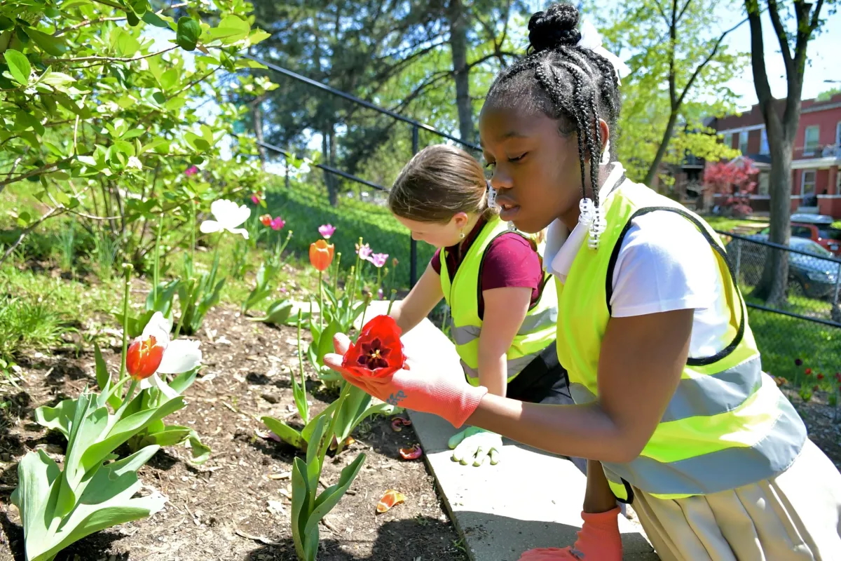 Tower Grove Christian Academy students plant for urban garden