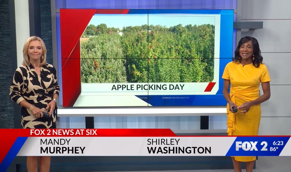 Volunteers harvest apples for St. Louis food distribution